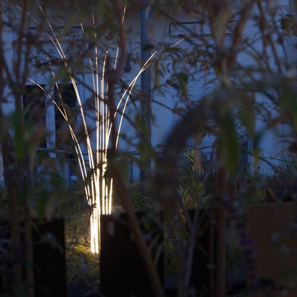 Reed Sea grass light